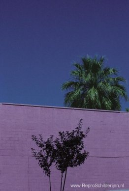 Stedelijk landschap, Phoenix Stedelijk landschap, Phoenix
