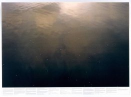 Zonder titel (uit de serie Still Water (bijvoorbeeld de rivier d Zonder titel (uit de serie Still Water (bijvoorbeeld de rivier d