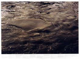 Zonder titel (uit de serie Still Water (bijvoorbeeld de rivier d Zonder titel (uit de serie Still Water (bijvoorbeeld de rivier d