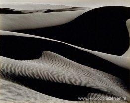 Duinen, oceaan Duinen, oceaan