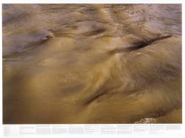Zonder titel (uit de serie Still Water (bijvoorbeeld de rivier d Zonder titel (uit de serie Still Water (bijvoorbeeld de rivier d
