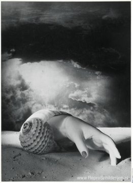 Sans Titre (Hoofdcoquillage) Sans Titre (Hoofdcoquillage)