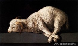 Agnus Dei Agnus Dei