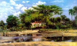 Een paineira de Ponce - La ceiba de Ponce Een paineira de Ponce - La ceiba de Ponce