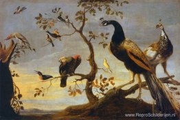 Groep vogels op takken Groep vogels op takken