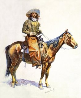 Cowboy uit Arizona Cowboy uit Arizona