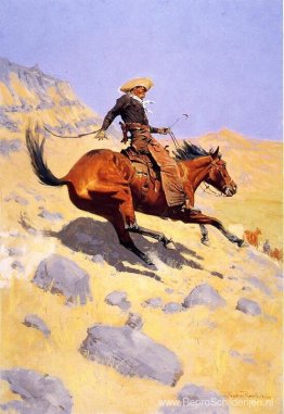 De cowboy De cowboy
