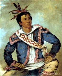 Há-tchoo-túc-knie, Bijtschildpad, een halfbloed Há-tchoo-túc-knie, Bijtschildpad, een halfbloed