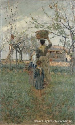 Terugkeer van de velden (lente) Terugkeer van de velden (lente)