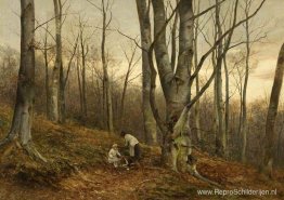 Een beukenbos, Malvern, Worcestershire Een beukenbos, Malvern, Worcestershire