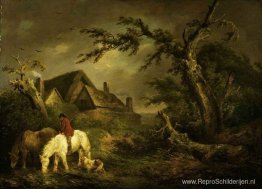 Paarden water geven Paarden water geven