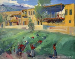 Het verzamelen van druiven Het verzamelen van druiven