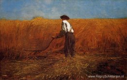 De veteraan op een nieuw vakgebied De veteraan op een nieuw vakgebied