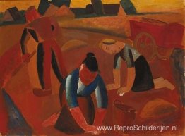 Aardappeloogst Aardappeloogst