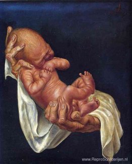 Pasgeboren baby op handen Pasgeboren baby op handen