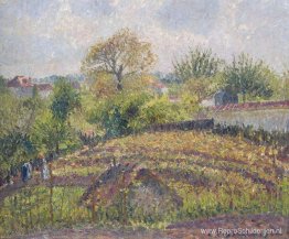 In de tuin In de tuin