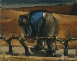 Het snoeien van de wijnstokken Het snoeien van de wijnstokken