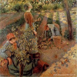De appelplukkers De appelplukkers