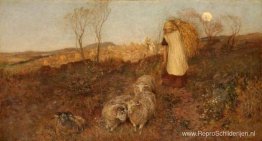 Avond, Matlock Avond, Matlock