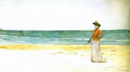 Aan een zeekust Aan een zeekust
