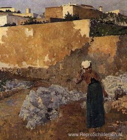 Watervrouw Watervrouw