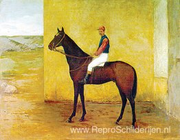 Jockey en paard Jockey en paard