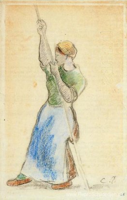 Boer die erwtenstokken plant Boer die erwtenstokken plant