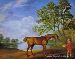 Pompoen met een staljongen Pompoen met een staljongen