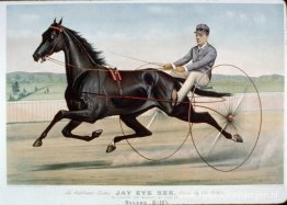 Gevierde draver Jay Eye See Gevierde draver Jay Eye See