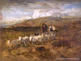 Welshe herders Welshe herders