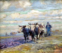 Mooi landschap met Os en boer Mooi landschap met Os en boer