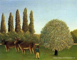 In de velden In de velden