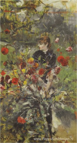 De zomerrozen De zomerrozen