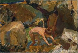 Op zoek naar schelpdieren Op zoek naar schelpdieren