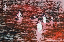 Zwemmers (A) Zwemmers (A)