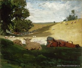 Warme middag (herderin) Warme middag (herderin)