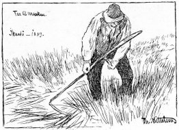 Ver Til Marken Ver Til Marken