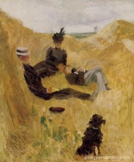 Partij in het land Partij in het land