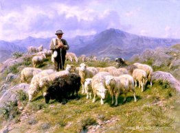 Herder van de Pyreneeën Herder van de Pyreneeën