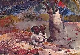 Onder de kokospalm Onder de kokospalm