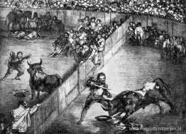 De verdeelde arena De verdeelde arena