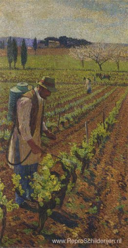 Zwavelvorming Zwavelvorming