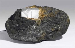 Trecento Millioni di anni (Driehonderd miljoen jaar) Trecento Millioni di anni (Driehonderd miljoen jaar)