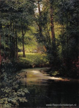 Kreek in het bos Kreek in het bos