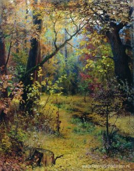 Herfst ochtend Herfst ochtend