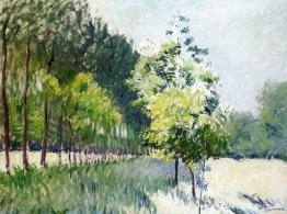 Boomgaard en laan met bomen Boomgaard en laan met bomen