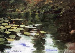Yerres, aan de vijver, waterlelies Yerres, aan de vijver, waterlelies