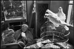 Henri Matisse in zijn huis, Alpes-Maritimes Henri Matisse in zijn huis, Alpes-Maritimes