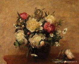 Pioenrozen Pioenrozen