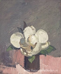 Magnolia Magnolia